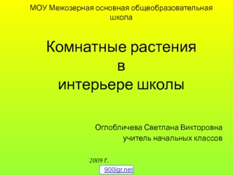 Комнатные растения в интерьере школы