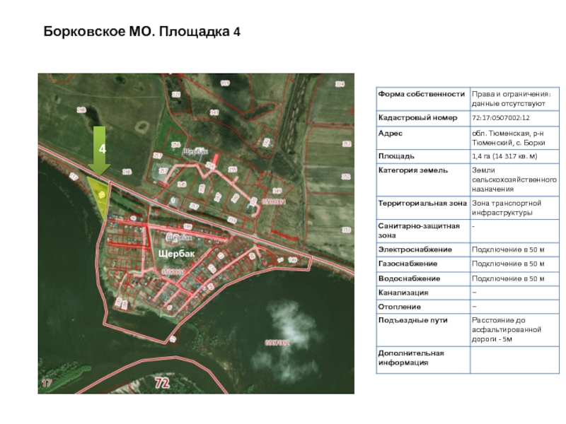 Карта борки тюменская область