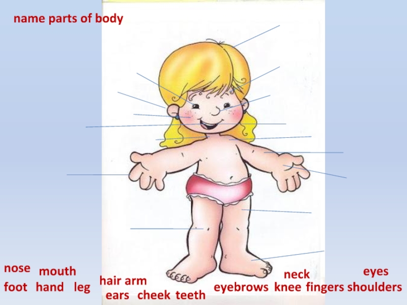 Презентация body parts