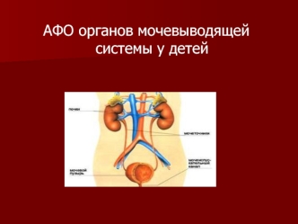 АФО органов мочевыводящей системы у детей