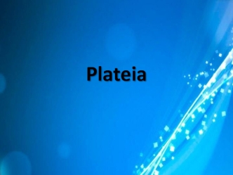 Plateia. Программный комплекс, предназначенный для проектирования, строительства и реконструкции автомобильных дорог