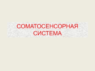 Соматосенсорная система