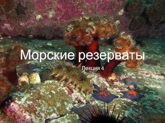 Морские резерваты