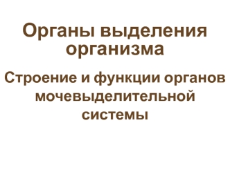 Строение и функции органов мочевыделительной системы