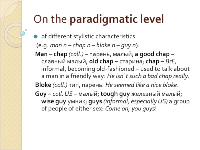 On the paradigmatic level of different stylistic characteristics  (e.g. man n – chap n – bloke