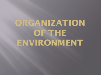 Organization of the environment