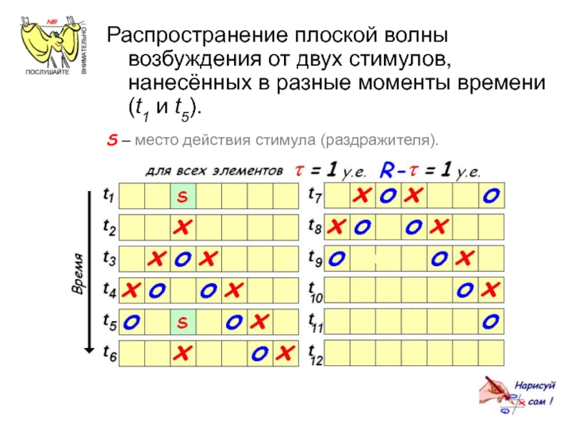 Волна возбуждения. Распространение плоской волны возбуждения. Плоское распределение.