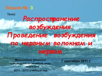 Лекция № 3. Распространение возбуждения. Проведение возбуждения по нервным волокнам и нервам