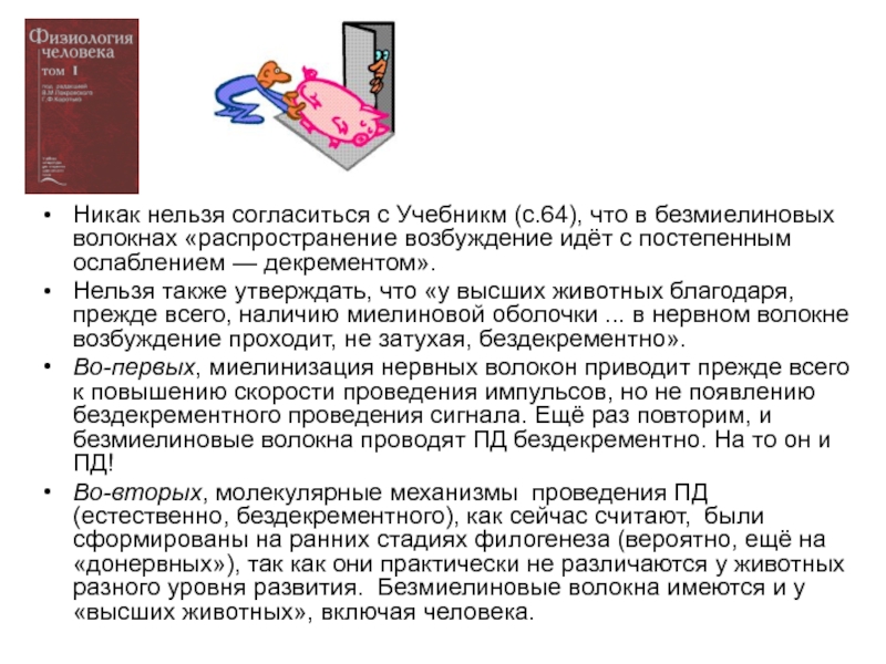 Также утверждал. Возбуждение распространяется с декрементом. Декрементное проведение возбуждения. Бездекрементное распространение. Бездекрементное распространение возбуждения.