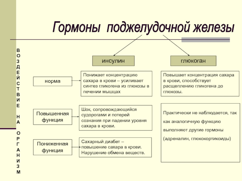 Низшие функции