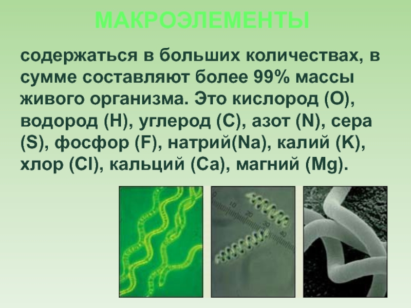 Вещество, которое составляет больше половины массы всего живого..