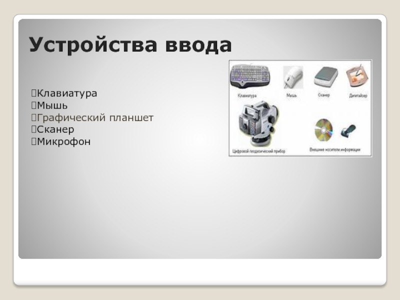 Устройства ввода клавиатура мышь графический планшет. Клавиатура мышь графический планшет сканер цифровая камера микрофон. Продолжите ряд микрофон сканер мышь.