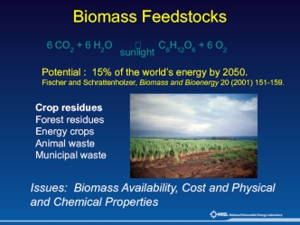 Biomass Feedstocks