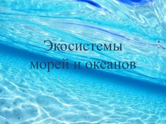 Экосистемы морей и океанов