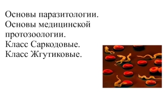 Основы паразитологии. Основы медицинской протозоологии. Класс Саркодовые. Класс Жгутиковые