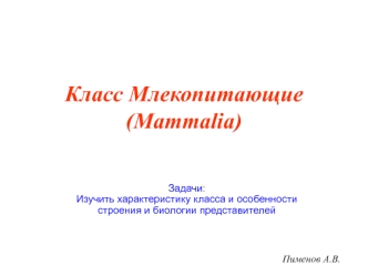 Класс Млекопитающие (Mammalia)