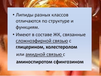 Классификация липидов