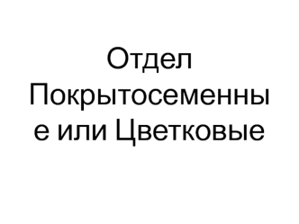 Отдел Покрытосеменные, или Цветковые