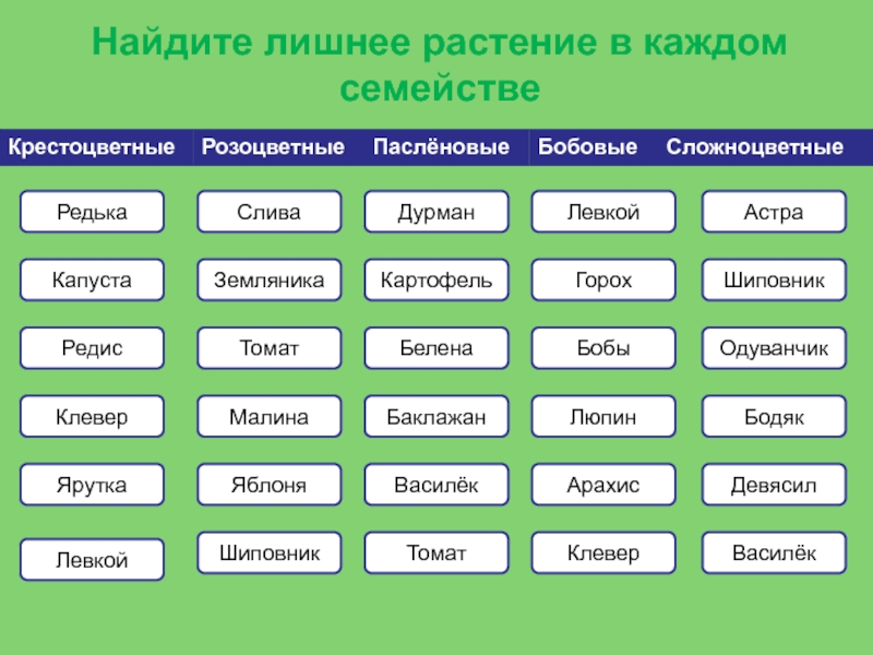 Тесты по биологии по семействам. Найдите лишнее растение. Найдите лишнее растение в каждом семействе. Формулы в биологии. Четвертое лишнее семейство растений.