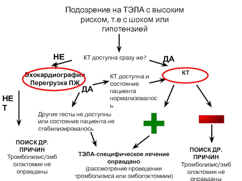 Актилизе при тэла схема