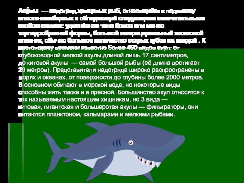 Реферат: Биологические особенности акул