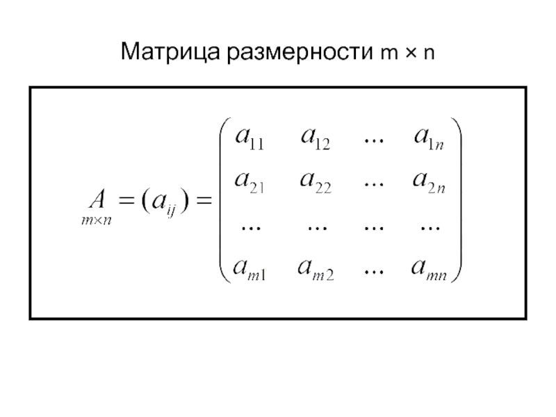 Матрица математика примеры. Матрица + матрица Высшая математика. Размерность матрицы формула. Матрица размера MXN. Самые сложные матрицы математика.
