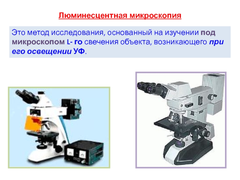 Люминесцентная микроскопия картинки