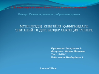 Мүшелердің кілегейлі қабығындағы эпителий тіндері. Бездер. Секреция түрлері