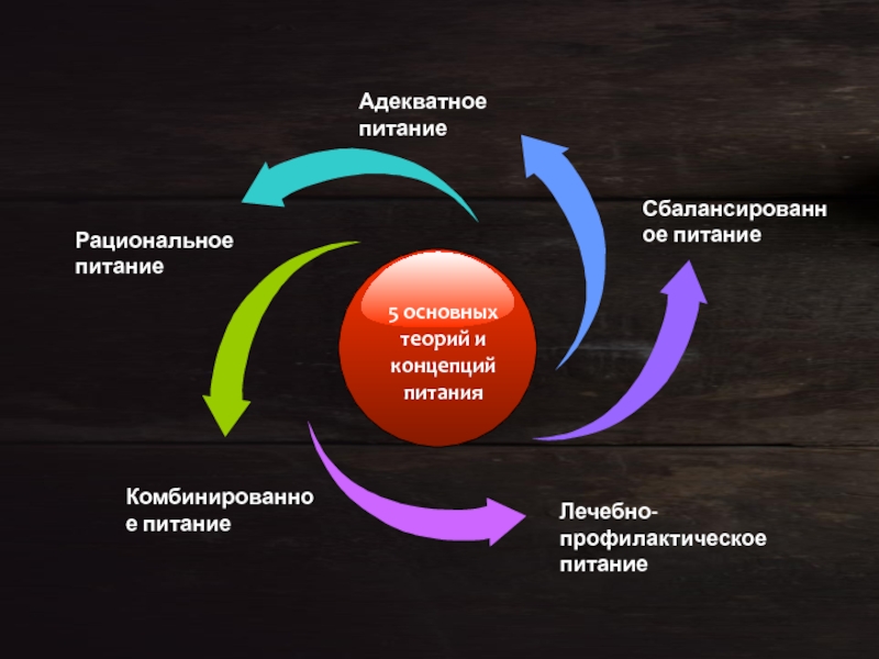 Теория адекватного питания