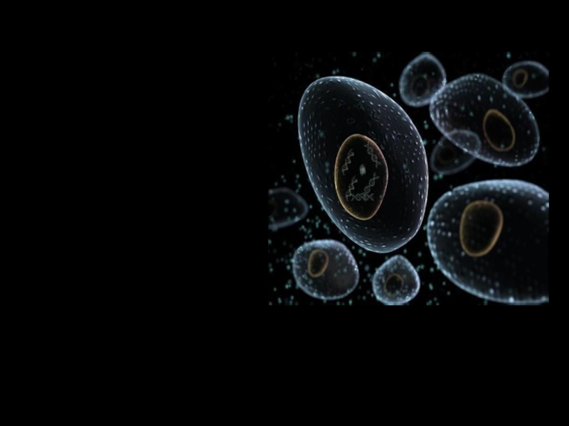 Неорганические живые клетки