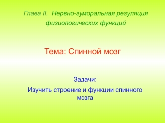 Спинной мозг