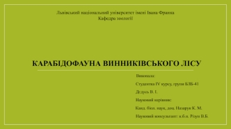 Карабідофауна винниківського лісу