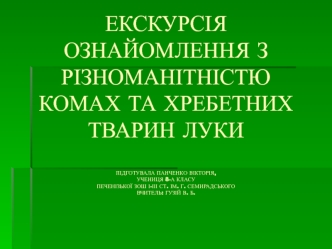 Різноманітність комах та хребетних тварин луки