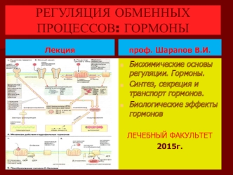 Регуляция обменных процессов. Гормоны