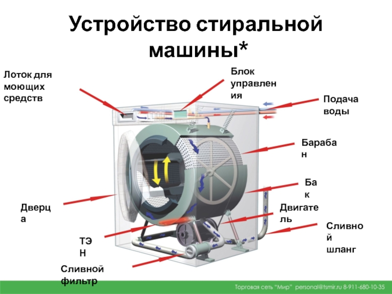Устройство стиральной  машины* Лоток для моющих средств  Дверца ТЭН Сливной