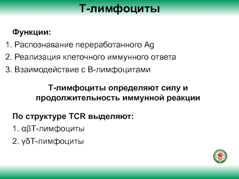 Функцию распознавания. Маркеры и рецепторы иммунокомпетентных клеток. В-лимфоциты: субпопуляции и их функции.. Рецепторы гистосовместимости.