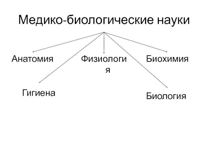 Биологические науки анатомия. Медико биологические науки. Анатомия это естественная наука. Гигиена это в биологии. Основы медико биологических знаний.