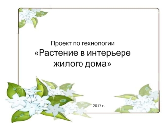 Проект по технологии Растение в интерьере жилого дома