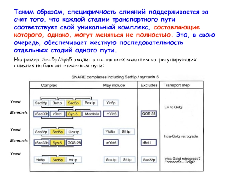 Неизменная форма