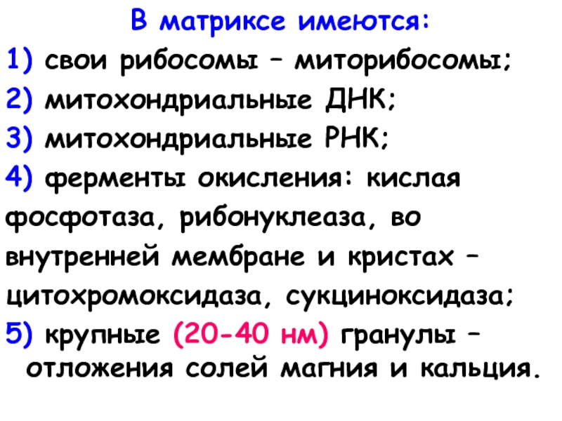 Митохондриальные рибосомы. Окислительно ферментативные среды. Цитохромоксидаза. Рибонуклеаза фермент.