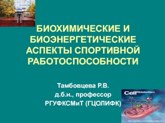 Биохимические и биоэнергетические аспекты спортивной работоспособности