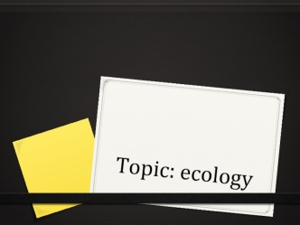 Three main problems in ecology