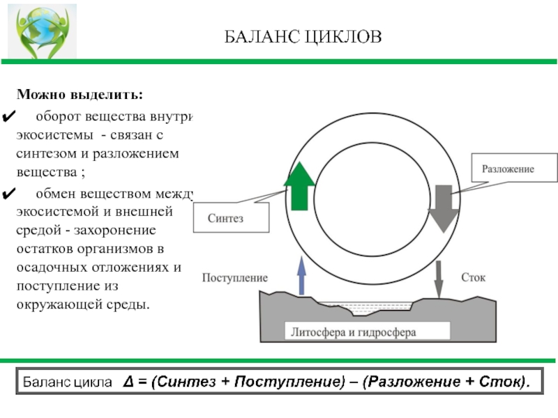 Оборот веществ. Цикла баланс отзывы.