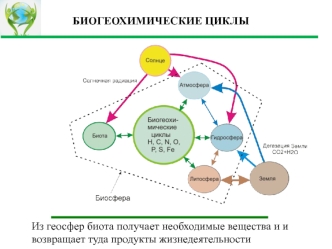 Биогеохимические циклы