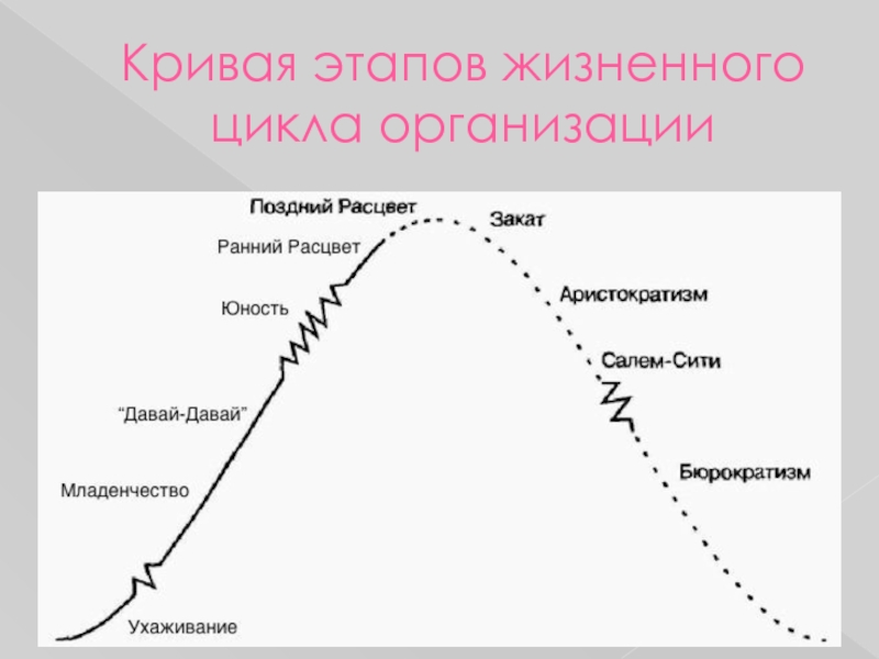 Презентация жизненный цикл организации