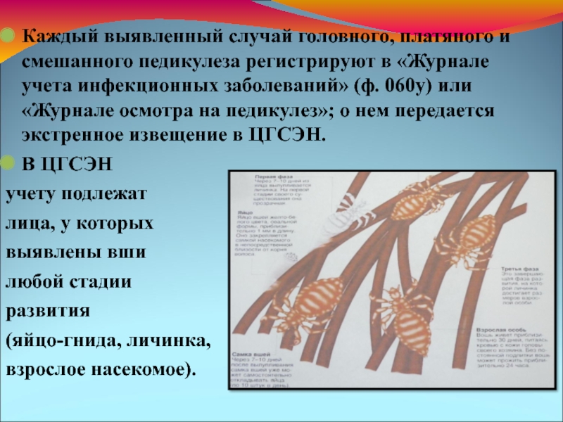 Журнал осмотра на педикулез ф 278 образец