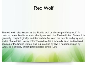 Red Wolf