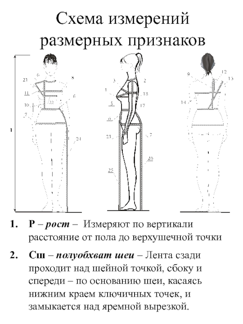 Основа вертикали