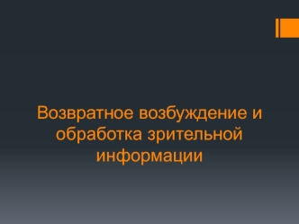 Возвратное возбуждение и обработка зрительной информации