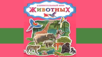 Удивительный мир животных. Игра-викторина